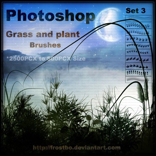 free Photoshop brushes: plants