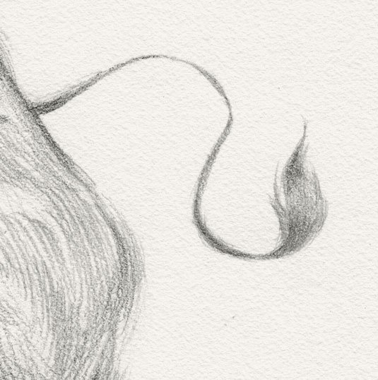 Sketching tips for beginners: Use varied lines