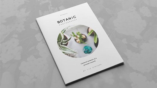 Best brochure templates: multipurpose creative