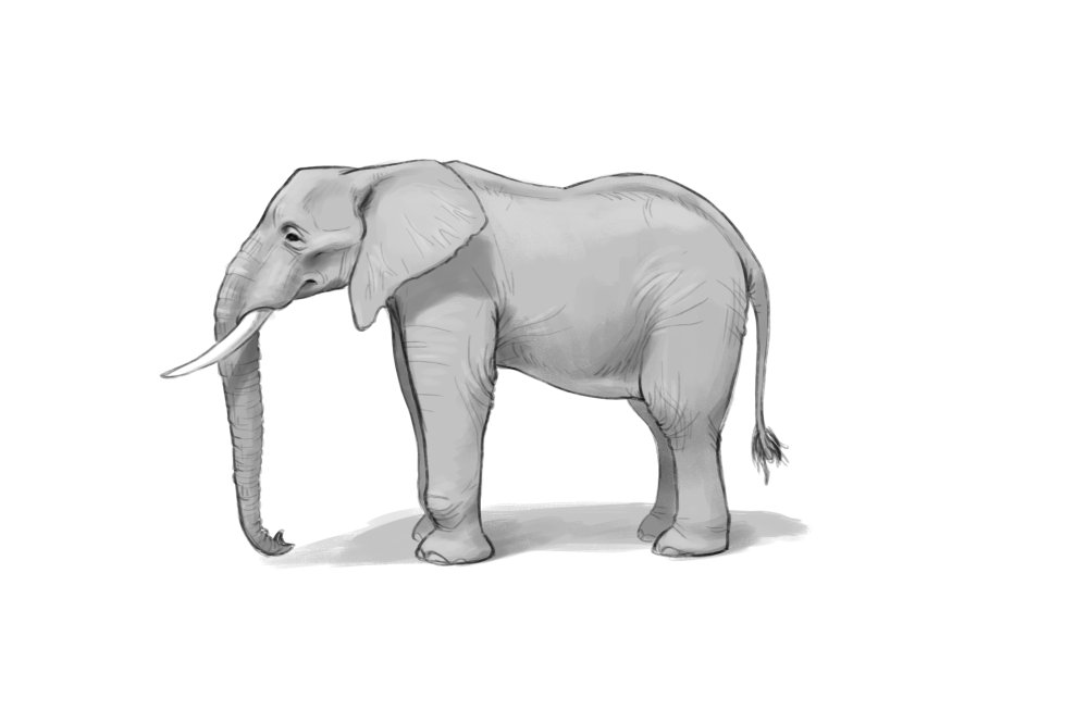 Detailed drawing of an elephant