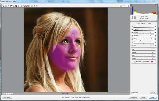 Photoshop tips: Adjustment Brush controls