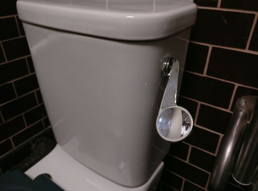 Toilet with hand flush