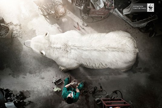 Print ad: WWF