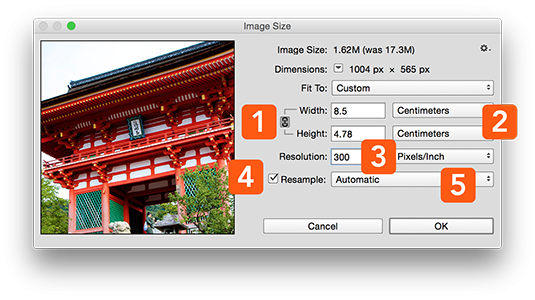 What is DPI? The ultimate guide to image resolution