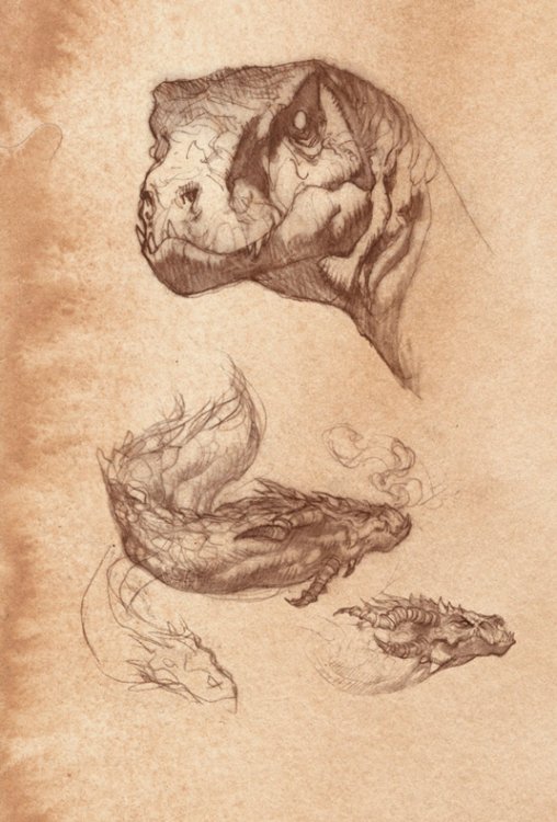 How to draw a dragon - crocodile and other studies