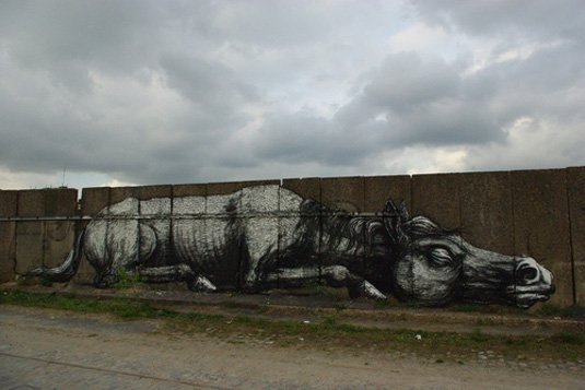 examples of street art: ROA