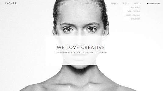 Website templates - Lychee