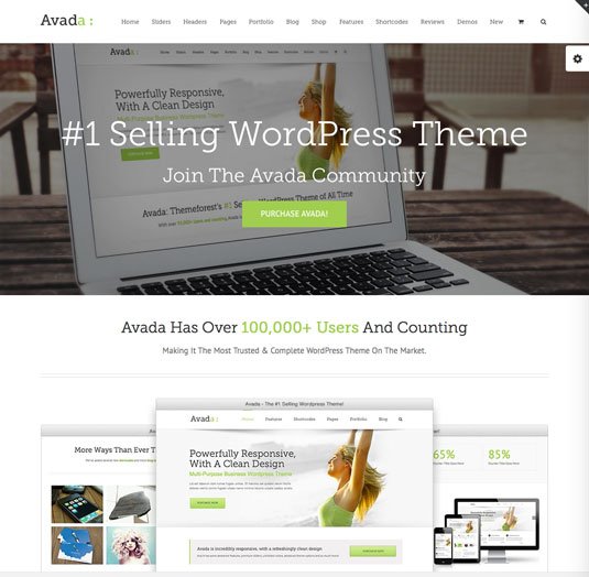 Website templates - Avada