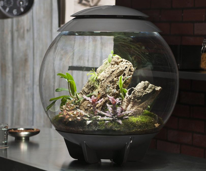 Round terrarium