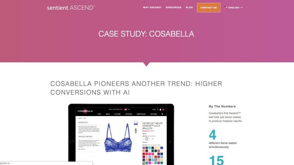 Cosabella case study landing page