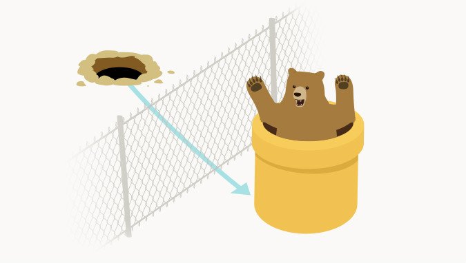 Best VPN: Tunnel Bear