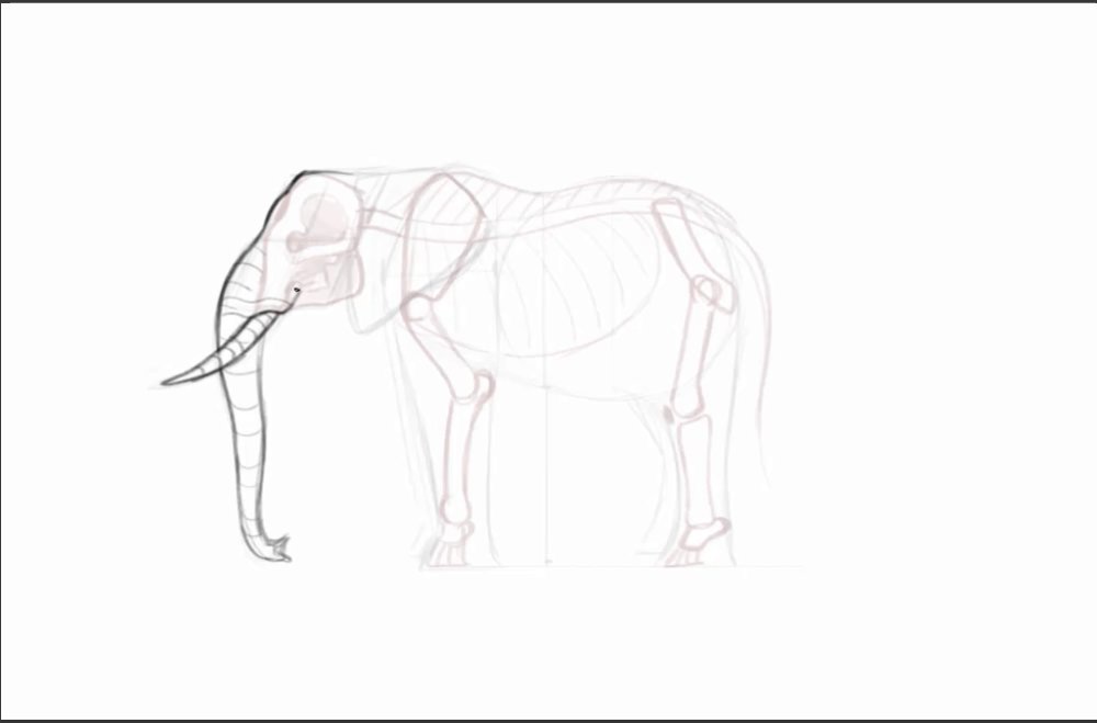 Rough sketch of an elephant