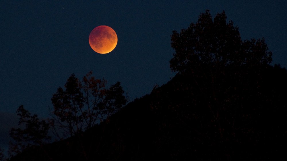 Blood moon with landscape by Darren Robinson