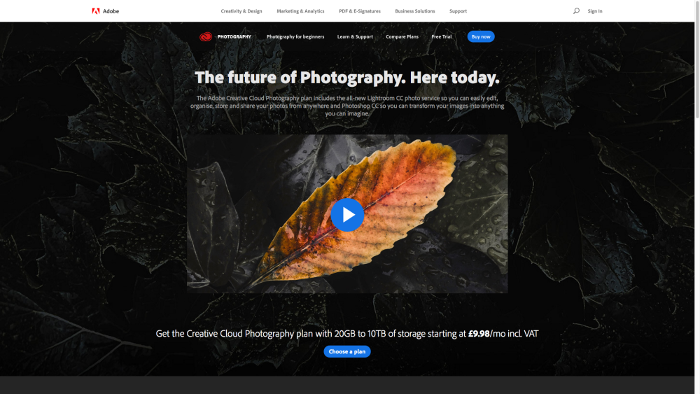 Photograph of a leaf on Creative Cloud