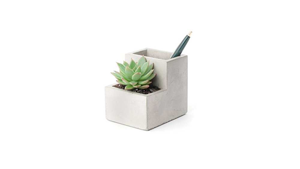 Kikkerland Concrete Desktop Plant and Pen Pot