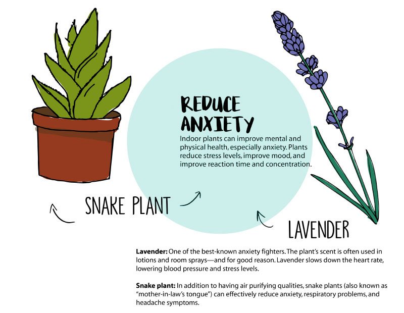 Как переводится planting