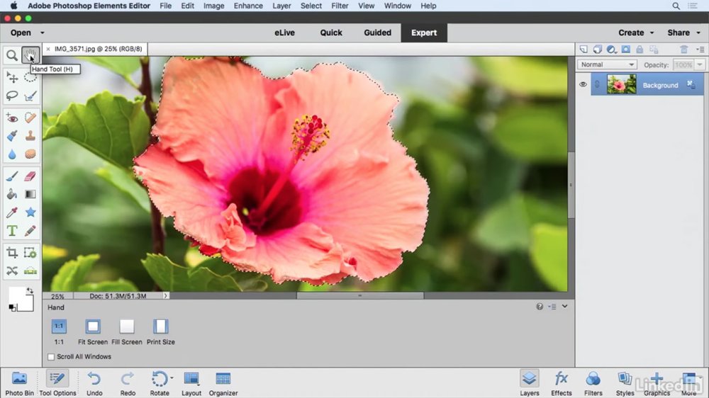 Photoshop Elements tutorials: Refine Selection brush