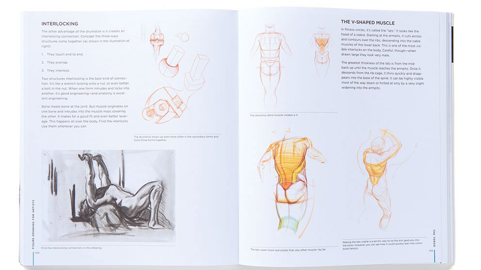 figure drawing for artists
