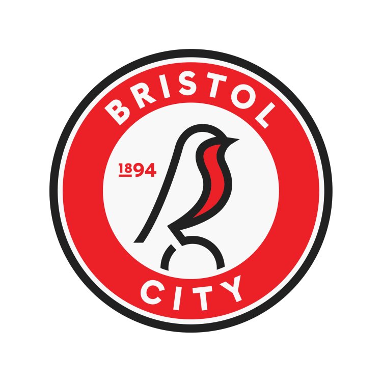 Bristol-City-Football-Club-by-Mr-B-&-Friends