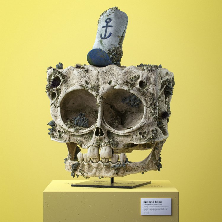 Sponge Bob fossil