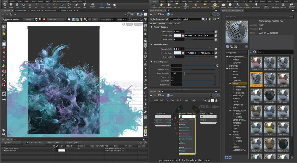 Houdini software: Fullscreen mode