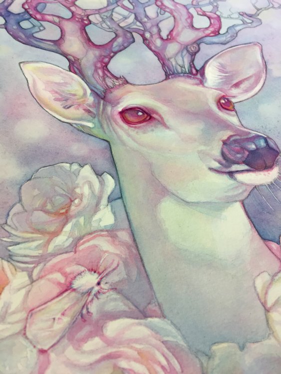 Lighter details of a watercolour deer