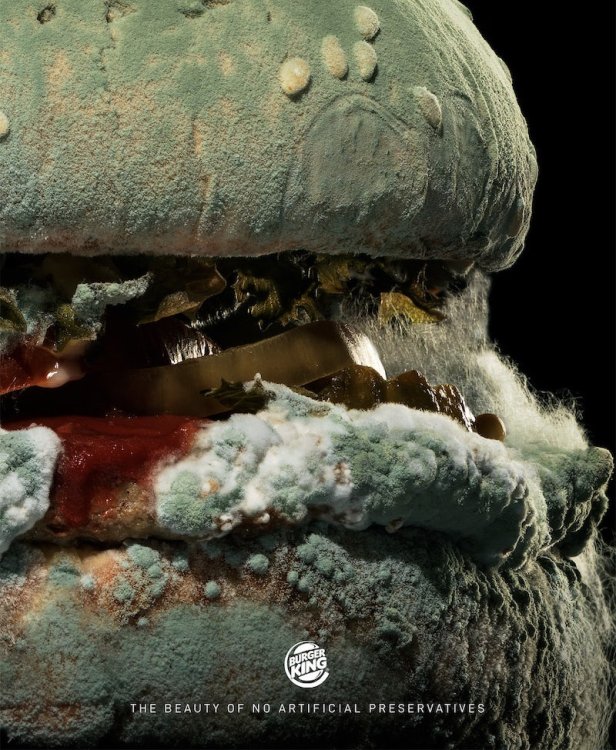 Mouldy burger