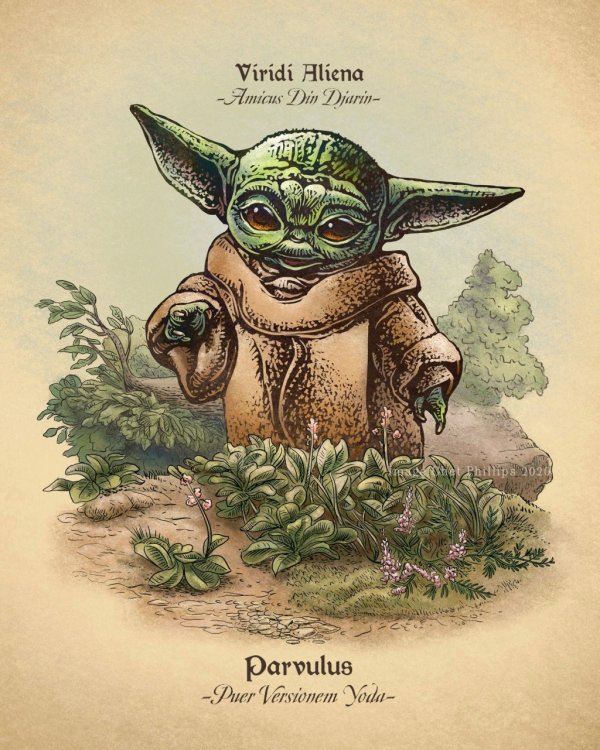 Baby Yoda