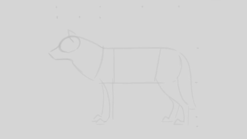 Sketched outline of a wolf's body
