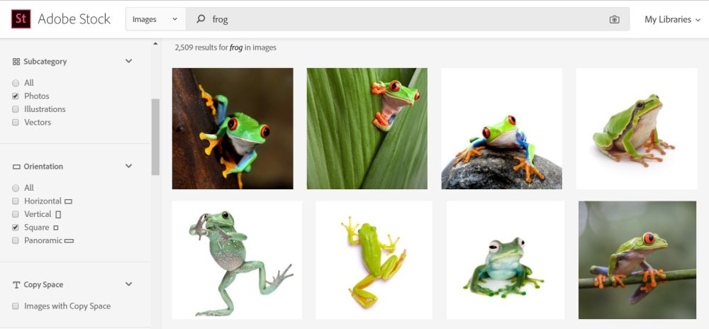 Search results for 'frog' on Adobe Stock. filtered to only square images