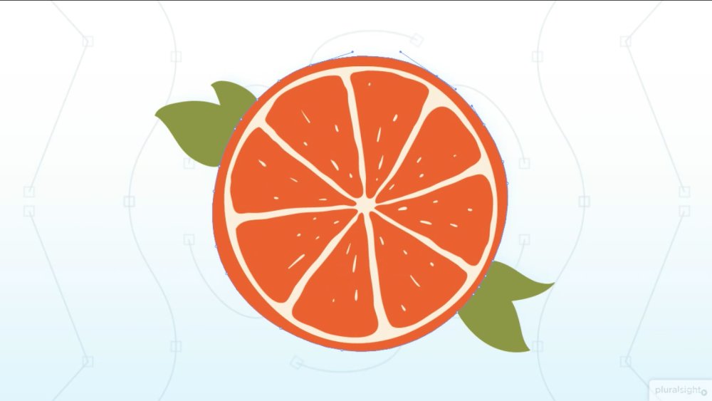 Orange slice vector art