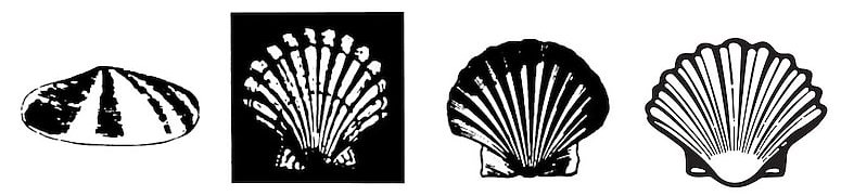 Evolution of Shell logo