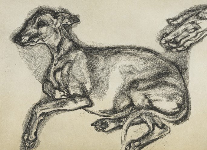 Dog drawing