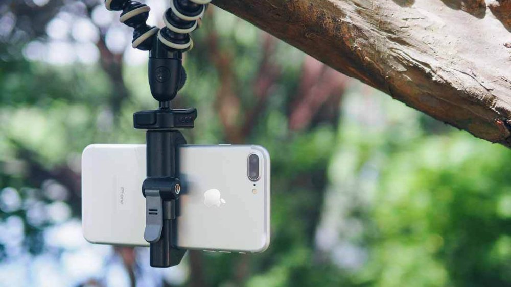 iPhone attached to a tree branch with a tripod mount