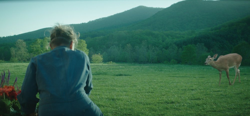 Frances McDormand looking at a fawn