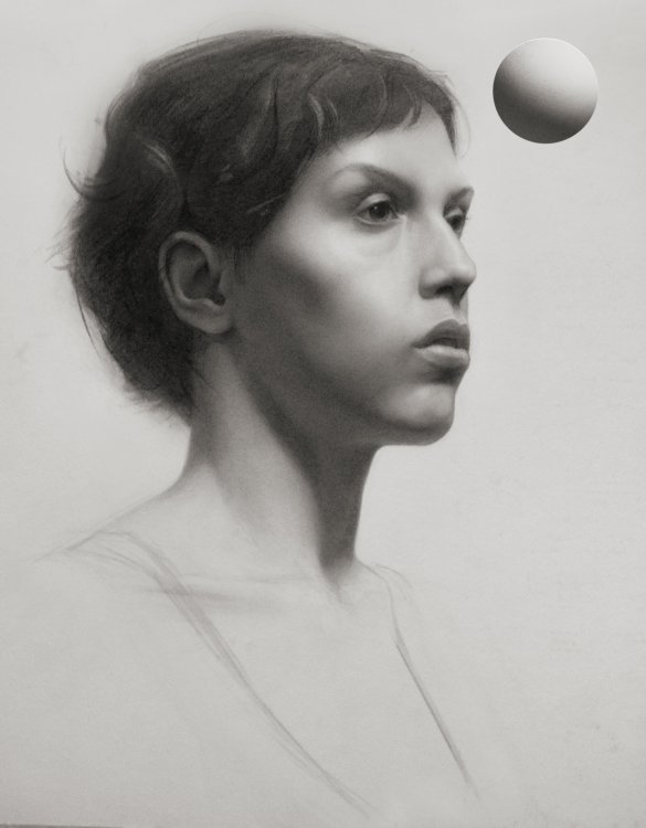 Portrait next to a sphere used to reference light and shadow