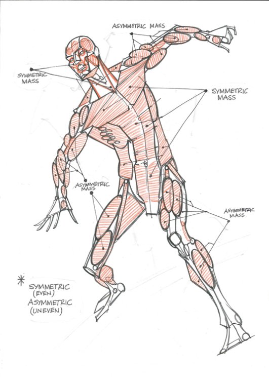 10 steps to improve your figure drawing