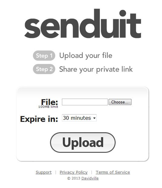 Senduit screenshot with option set to make the file expire in 30 minutes