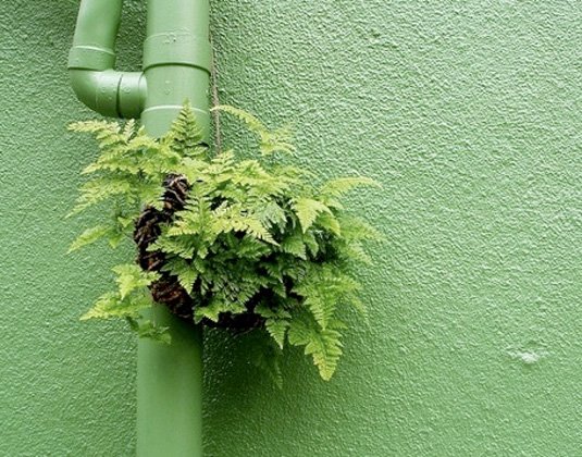 examples of street art: Guerrilla Gardeners