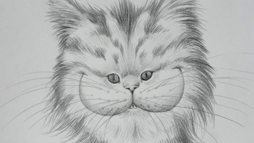 Pencil drawing of a smiling cat to check