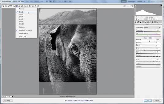 Photoshop tips: Crop ratios