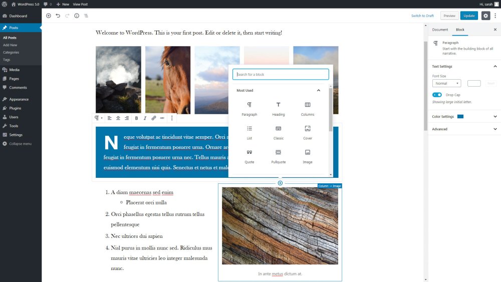 Wordpress screenshot