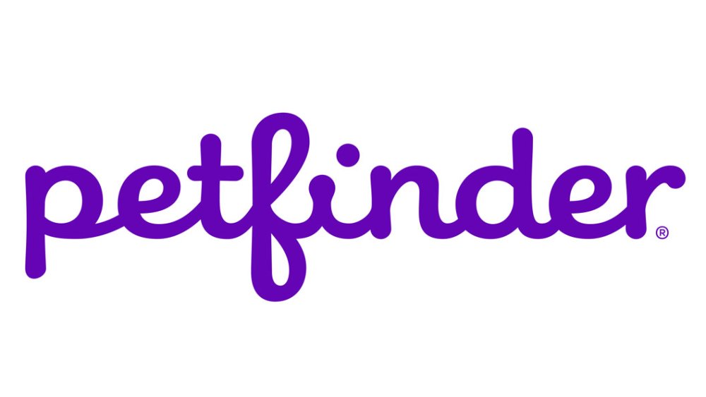 Petfinder logo by POSSIBLE