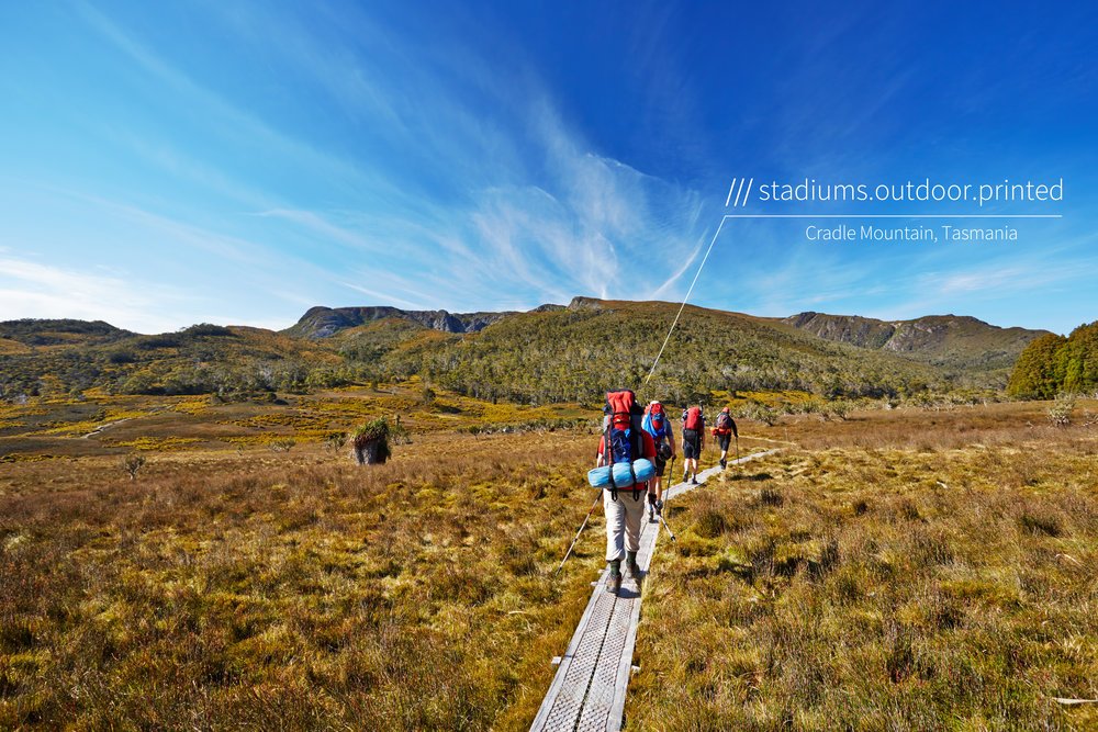 People hiking in wilderness