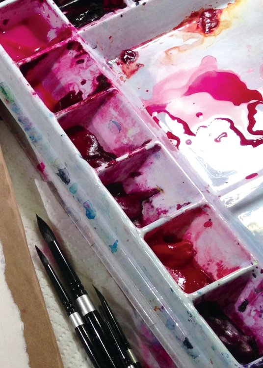 Watercolour trays filled with deep red pigments