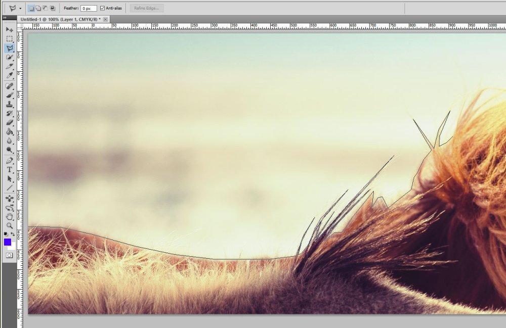 close up of horse in Photoshop with regular Lasso