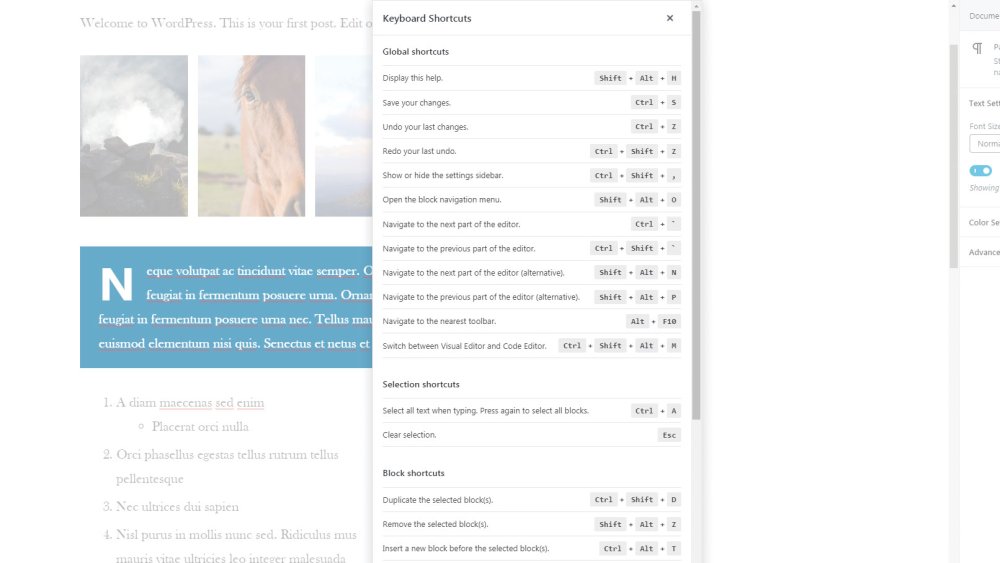 keyboard shortcuts in WordPress