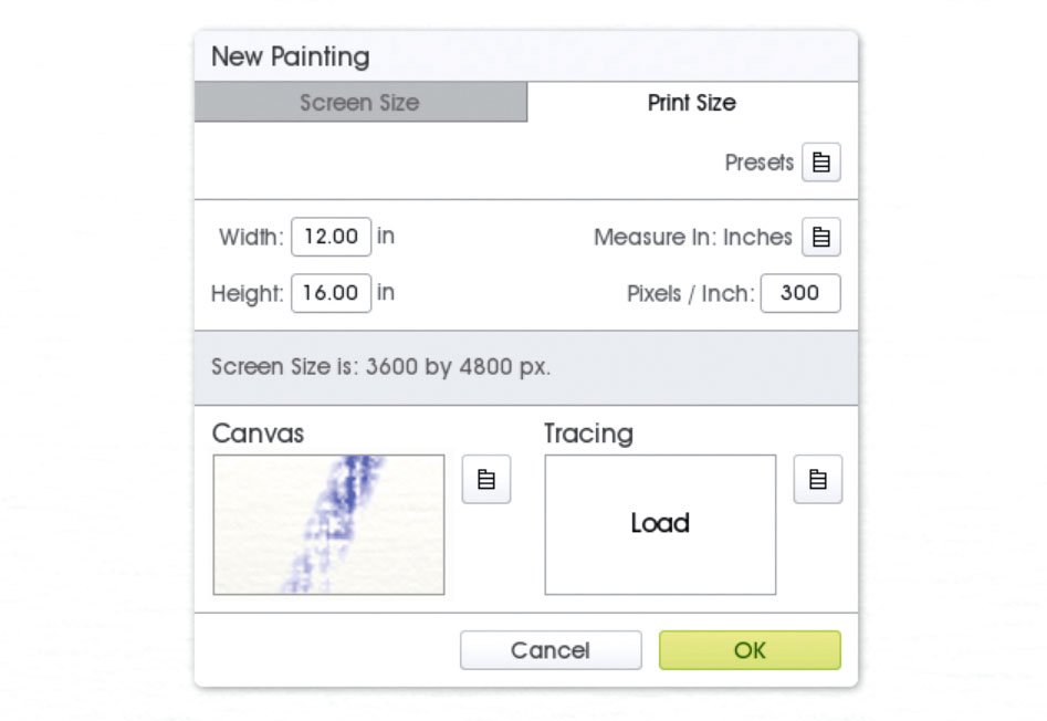 ArtRage: Confirm canvas to start painting