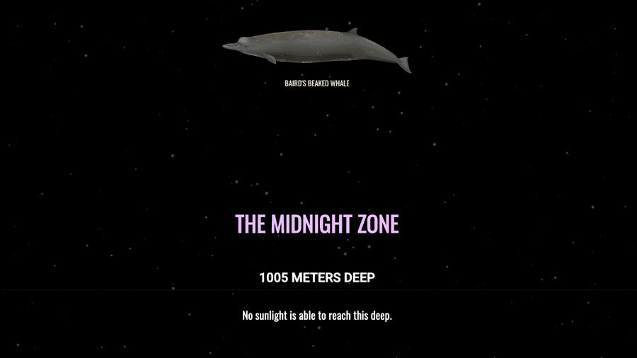 Visualisation - The Deep Sea