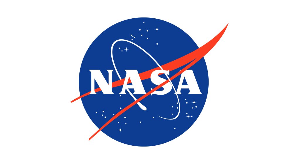 NASA logo meatball